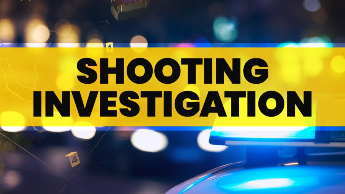 BREAKING: Double Shooting Horror in Villa Leaves Two Dead 