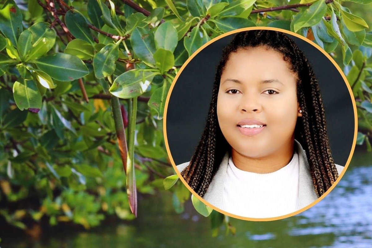 Parham, Seatons and Glanvilles Residents Called to Shape NEMMA Conservation Plans