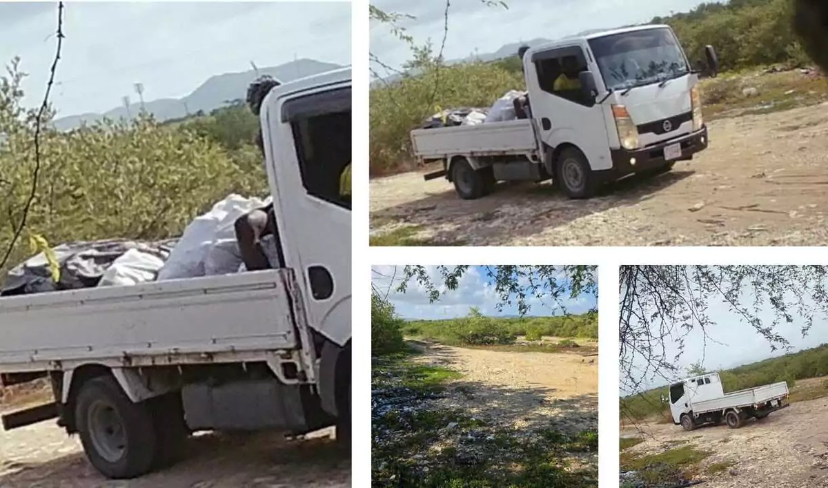 Secret Camera Catches Truck Illegally Dumping Garbage in Parham; Police Seek Driver