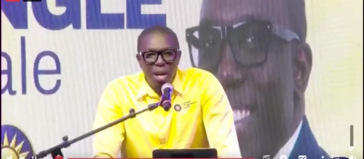 UPP's Pringle Vows Major Sports Complex and Youth Drive at Campaign Rally