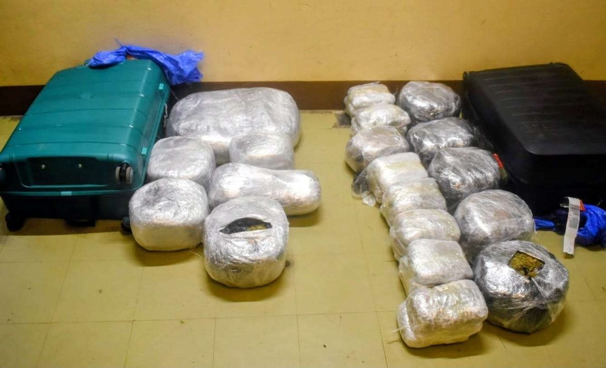 Large Cannabis Seizure Reported at V.C. Bird International Airport