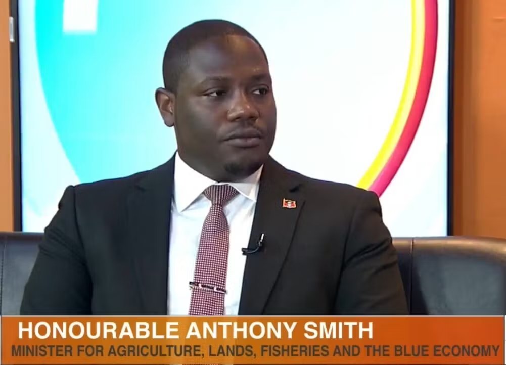 New CMC Hub to Connect Local Farmers Directly with Hotels and Supermarkets