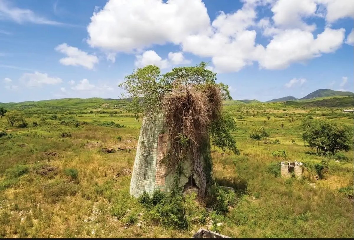 Gov't Opens 50 Acres in All Saints for Purchase Under Land Empowerment Programme