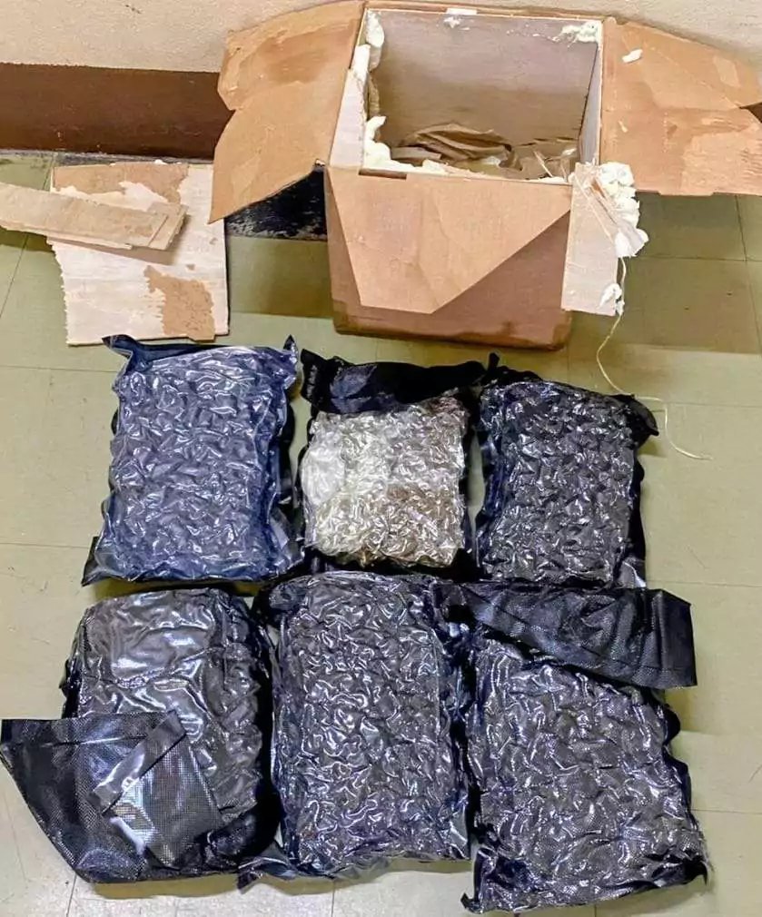 Cannabis Valued at EC$78,000 Seized at Antigua Airport Cargo Shed