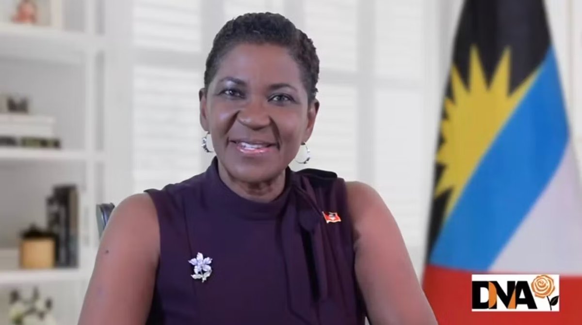 Massiah Slams One-Day Senate Reappointment as 'Poppy Show' Political Theatre