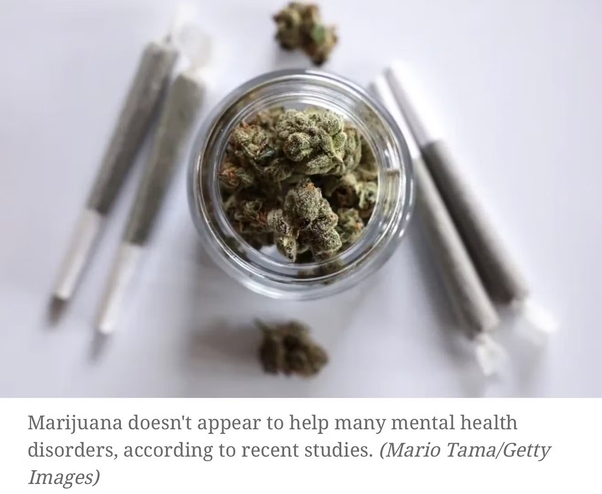 Studies Find No Evidence Cannabis Treats Anxiety, Depression or PTSD