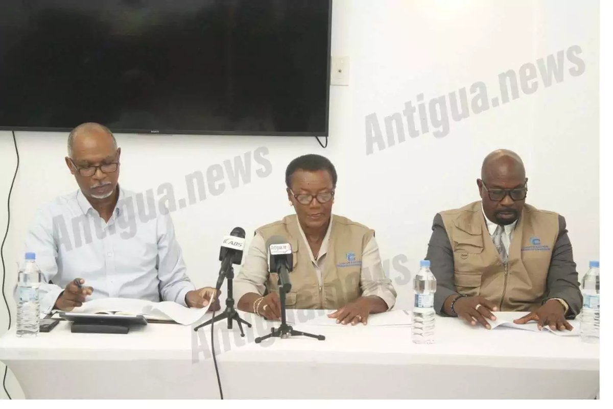 OAS Flags Voter Turnout Decline as Observer Missions Declare Election Peaceful
