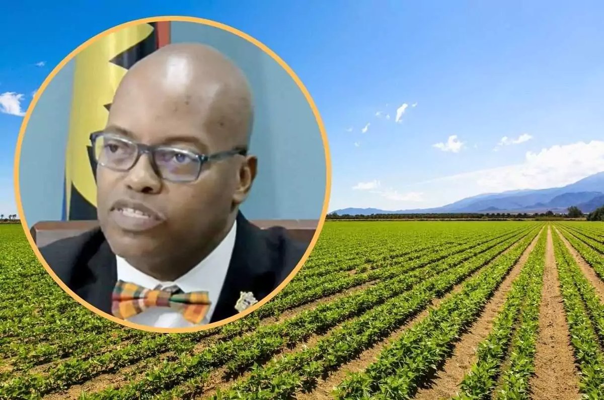 Cabinet Allocates 75 Acres for Youth and Women Farmers in Food Security Push